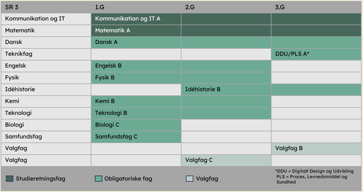 Overblik over hvilke niveauer fagene foregår på, på kommunikation og it.