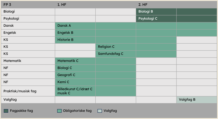Skema til HF Undervisning og pædagogik